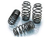 2000-2006 Audi TT 2WD (4 cylinder engine, excluding Roadster & Convertible) - Eibach Pro-Kit Lowering Spring